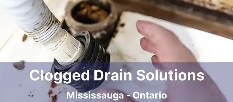  Clogged Drain Solutions Mississauga - Ontario