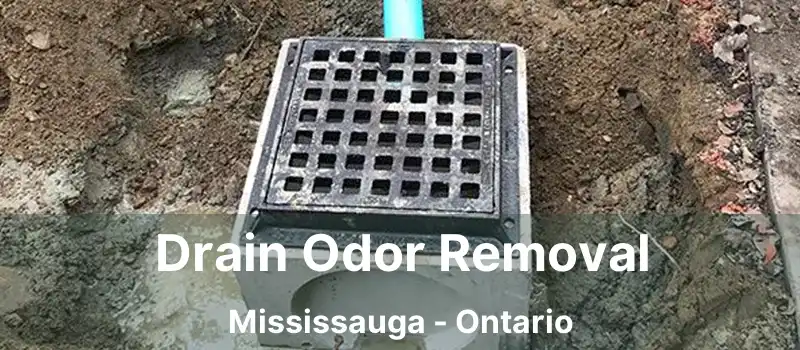  Drain Odor Removal Mississauga - Ontario